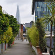 DSC_0205.JPG