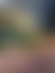 Tin mines and accountability