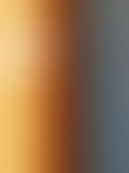 The limits of a rights based approach