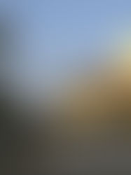 Struggles for local organizations’ self-reliance