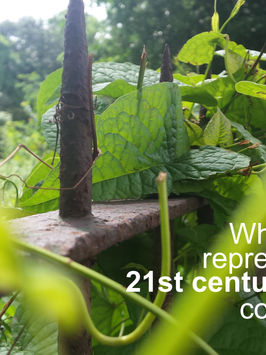 Who should be represented at the 21st century Panglong conference?