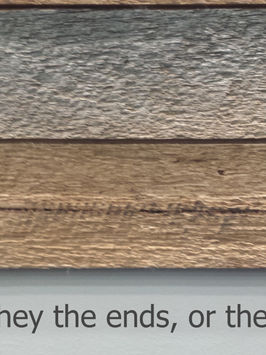 SDGs: are they the ends or the means?