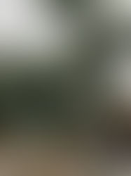 How will Small Ethnic Parties Perform in the Upcoming 2020 General Elections?