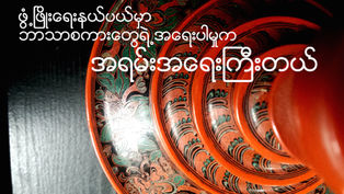 Language matters in development