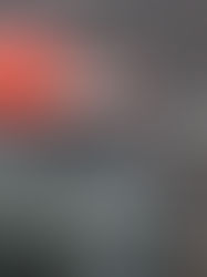 “Myanmar is never going to have a donor driven transition”: An interview with an international consu