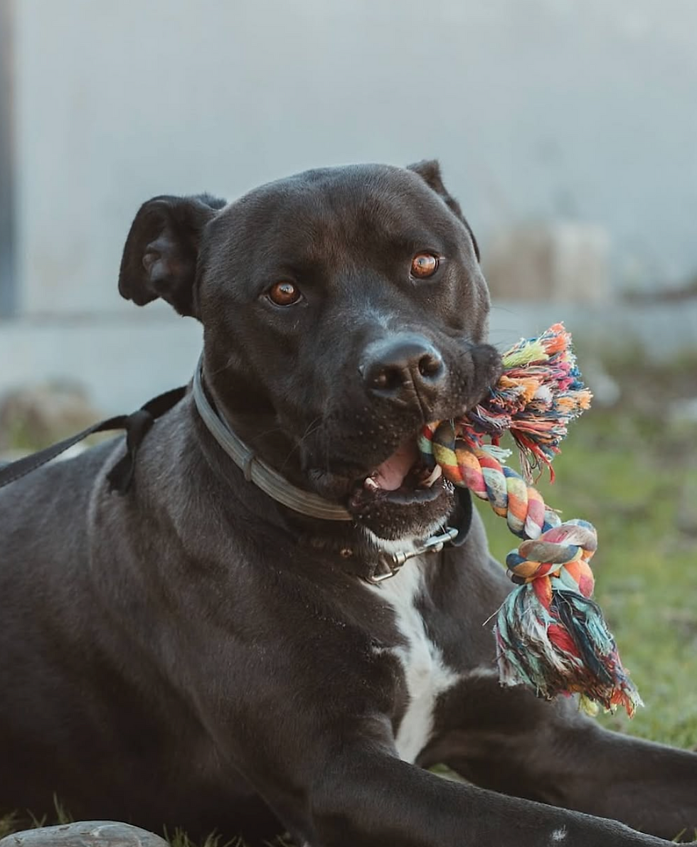 Captura de pantalla 2026-04-26 a las 23.18.45.png