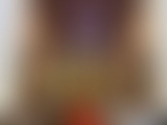 SANTA MISSA - FESTA DA PADROEIRA