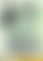                Festa de São Benedito