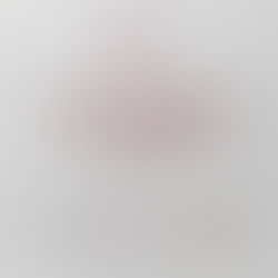 Programação de 13 a 19 de abril