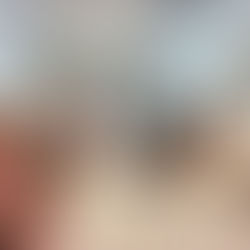 Conselho Fiscal da Associação Amigos do Theatro São Pedro aprova contas do exercício 2025