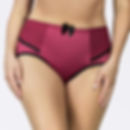 Parfait Charlotte High Waist Brief Rio Red