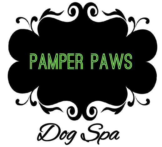 Dog Groomer Mackay Qld Pamper Paws Dog Spa