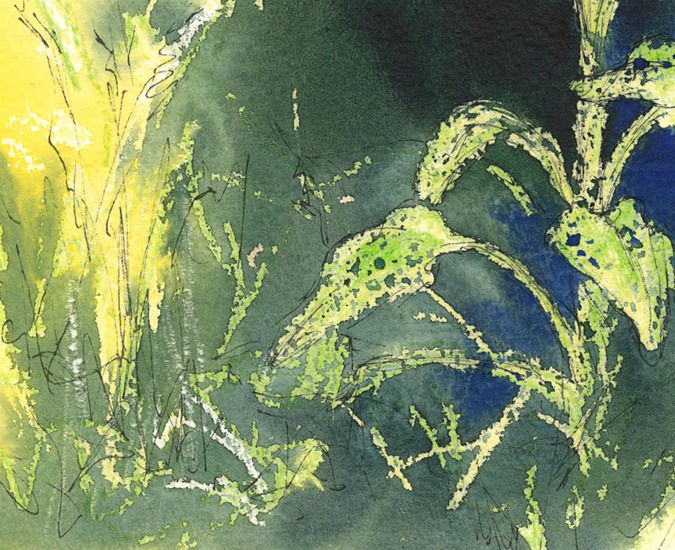 Thumbnail: Foxglove From The Wild White Flowers Collection