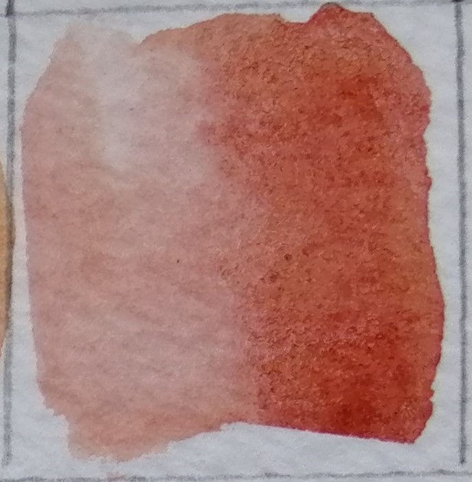 Thumbnail: Learn to mix and test your water colour paints for this Marigold