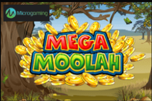 마이크로밍 슬롯게임 메가물라.png