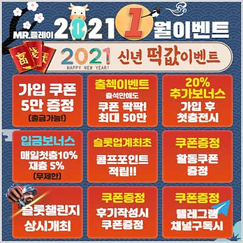 미스터 플레이 1월 보너스