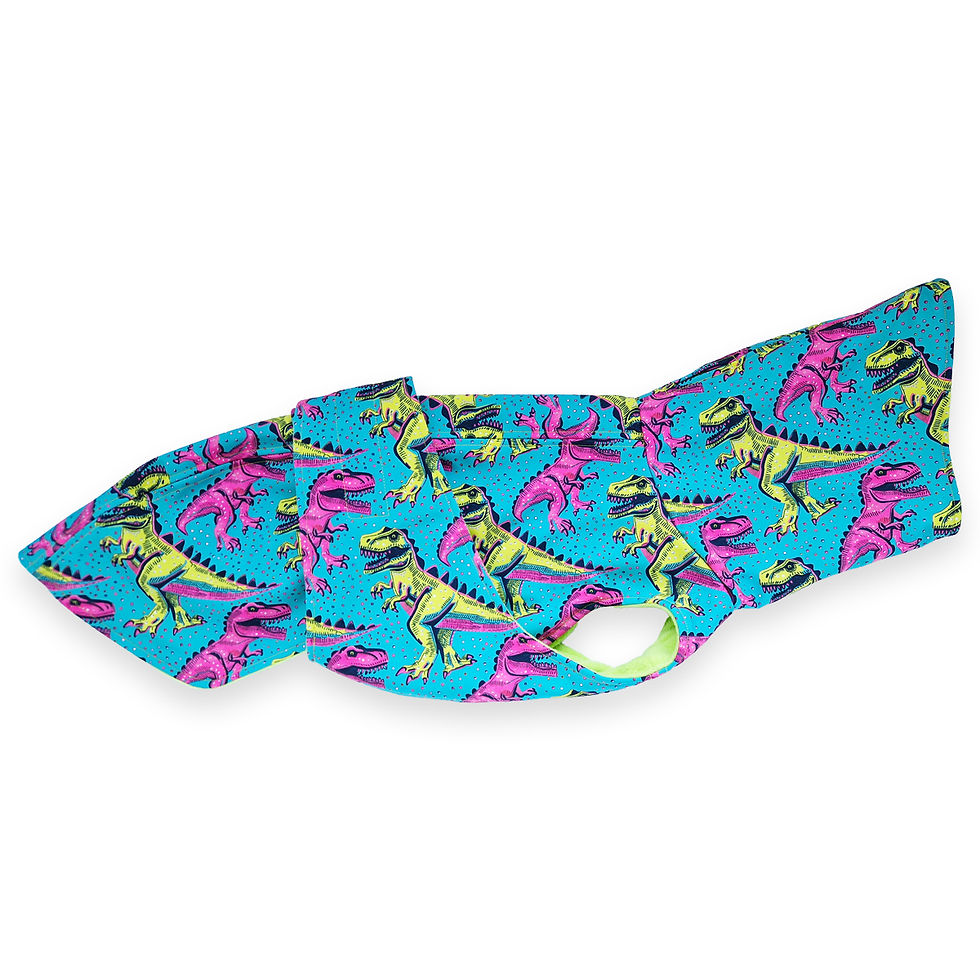 Thumbnail: Funky Dino Pop Coat green hondenjasje met dino print