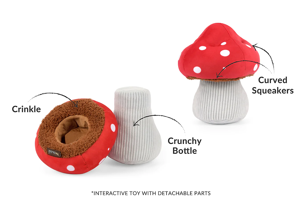 Thumbnail: Paddenstoel uit de P.L.A.Y. Blooming Buddies hondenspeelgoed collectie