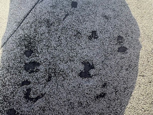 7 Signs Your Roof Has Storm or Hail Damage (And What to Do Next)