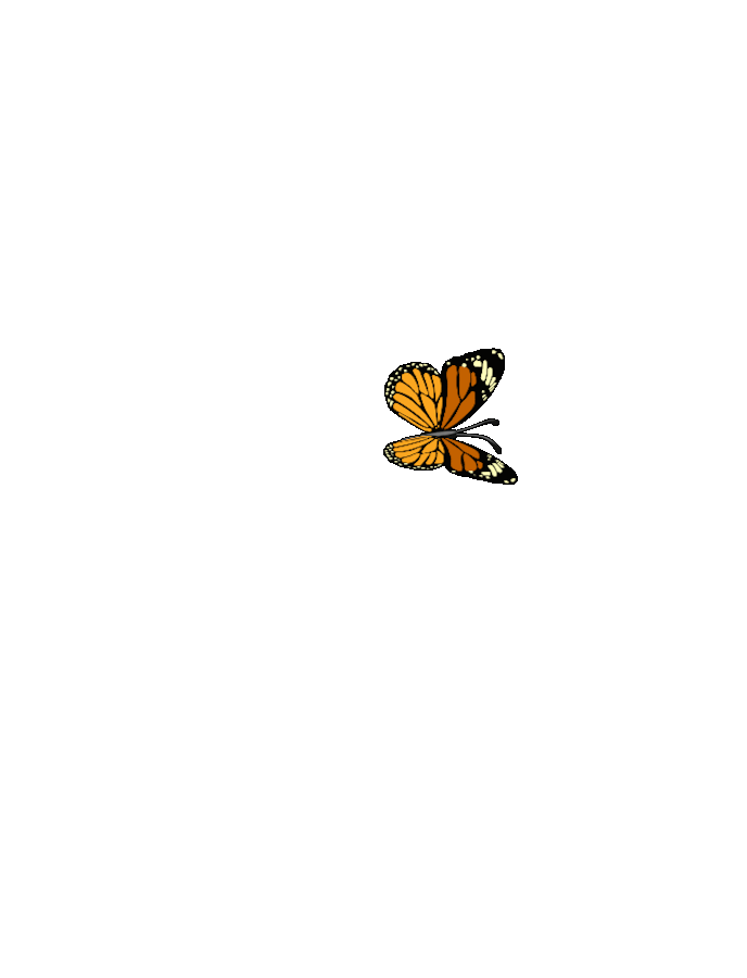 ANIM_FWFI (1).gif