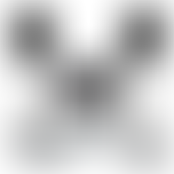 Sistem PA tanpa wayar untuk kahwin taman di Shah Alam