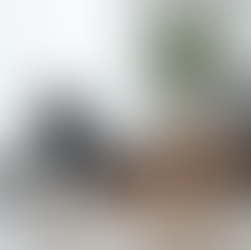 Pilates certification course Malaysia with reformer practice