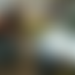 马来西亚湿市场周边预防性喷雾处理