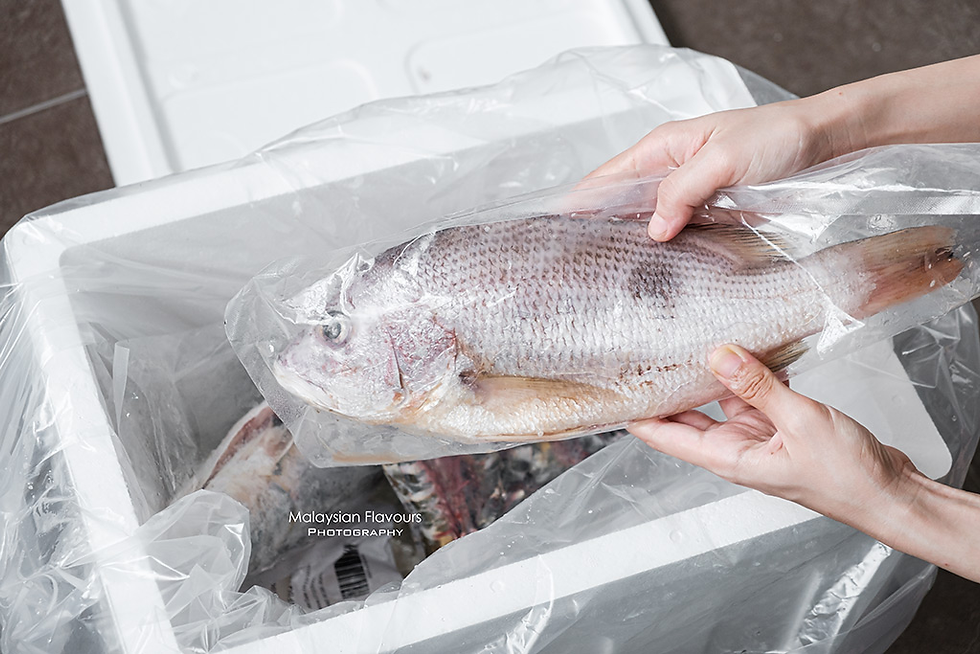 Refrigerated truck service KL with temperature control