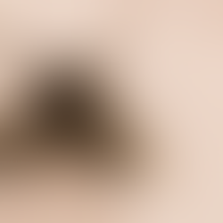 How much does pest control cost for terrace houses in Malaysia