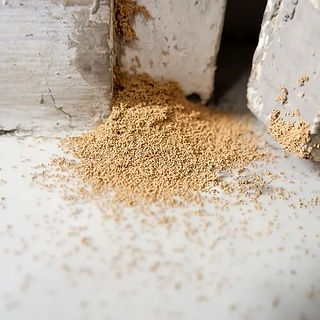 Signs of termite droppings near wooden shelf edges