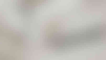 Mold spots on painted plaster ceiling panel due to hidden leak