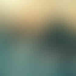 积水滋生蚊虫,需立即进行灭蚊害虫防治处理