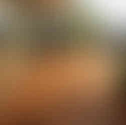 Rekaan taman balkoni guna jubin dek & tanaman mini