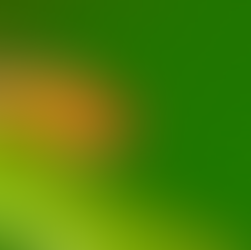 How often should pest control be done for homes in KL