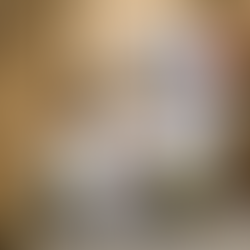 What does pest control do during residential treatment in Kelantan