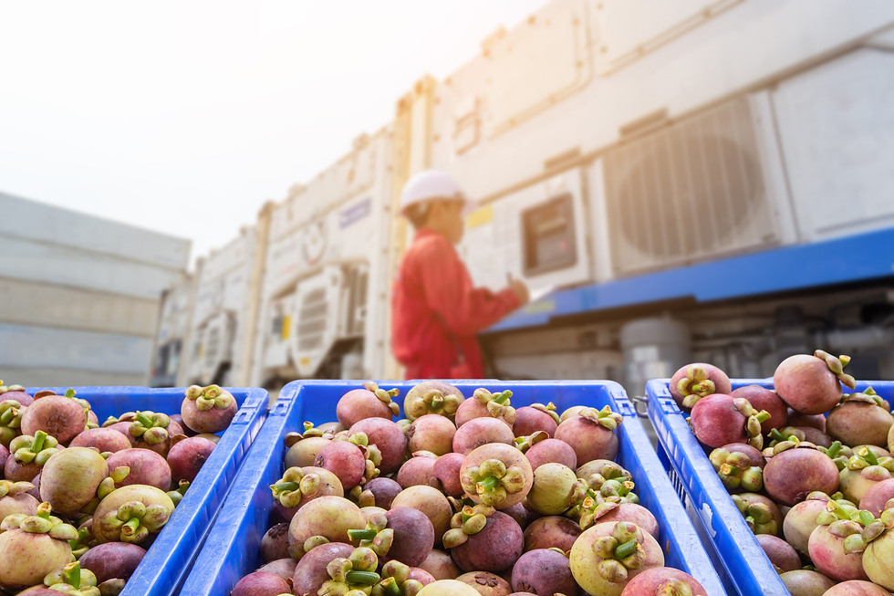 Blue crates of mangosteens in focus, industrial setting. Blurred worker in red, hard hat, checks equipment in background. Warm lighting.