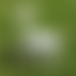 Bridal dining table setup in Kuala Lumpur