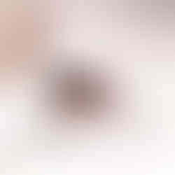 在马来西亚一间公寓的马桶附近发现德国蟑螂