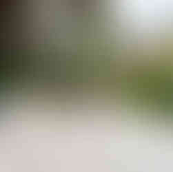 Garden decking kept clean without moss or damage