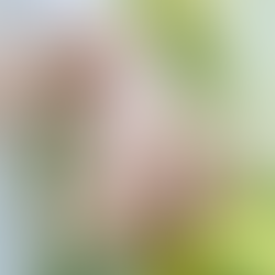 蚊子叮咬的痕迹在经过家庭自然疗法后逐渐消退