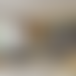 Plaster ceiling price listed per foot for PJ residential projects