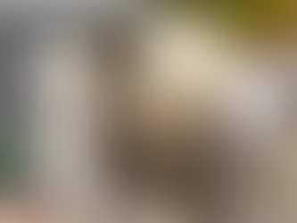 Cement mini mixer machine used in small construction