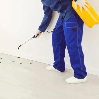 Pasukan NLC: Pemeriksaan & kawalan serangga dalam rumah