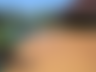 Decking joists setup for new flooring in Lembah Klang