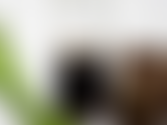 Blok Gula Melaka perlahan-lahan cair dalam periuk atas api kecil