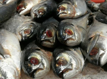 Hypercold Logistics Sdn Bhd deep freeze storage in Pulau Pinang