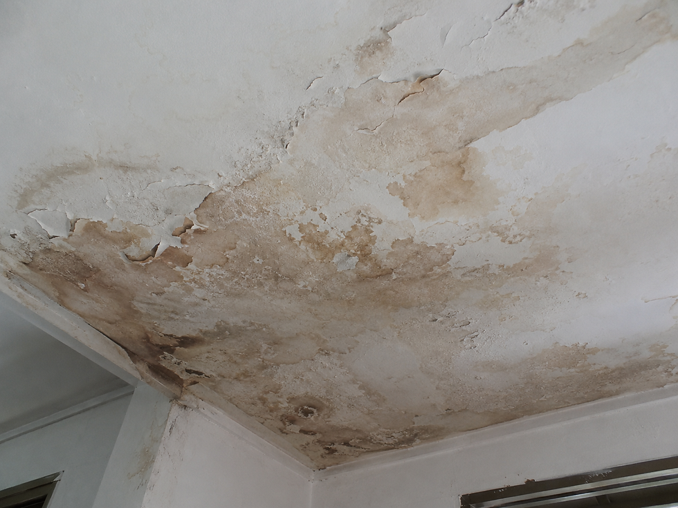 Gypsum plaster ceiling installed in a living room with hidden lighting detail in Klang