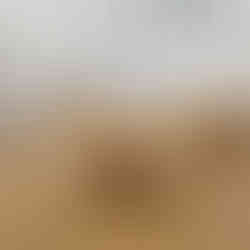 Banquet hall setup with round tables and banquet chairs — a popular option for indoor table and chair rental packages.