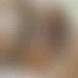 Home cabinets with internal organizers for a more organized arrangement