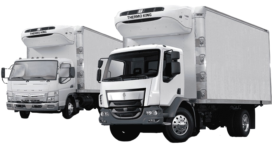 Two white refrigerated trucks with "Thermo King" units are parked against a white background. The trucks are clean and modern.